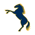 Brumbies
